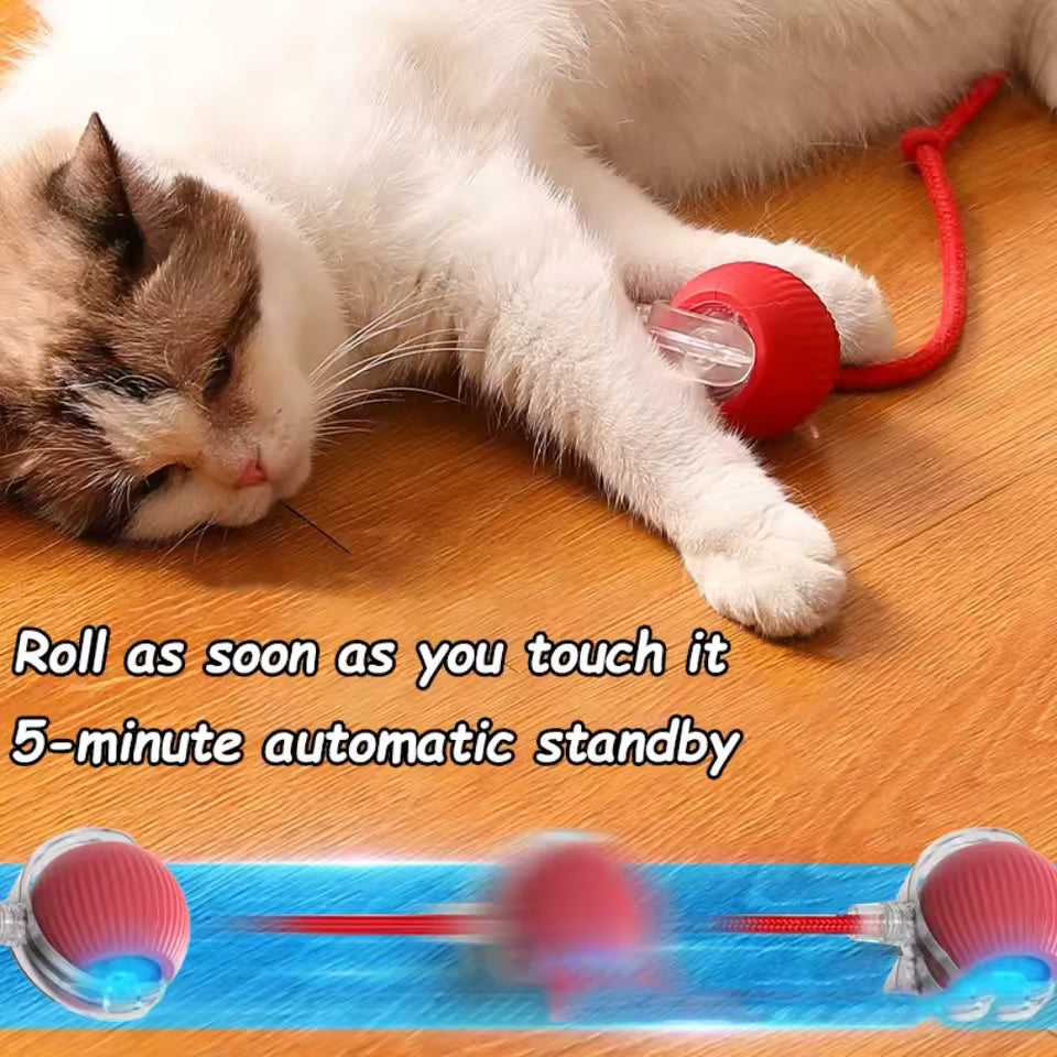 Automatic Moving Cat Toy Ball Smart Cat Toys USB Rechargeable Smart Cat Toys Ball Speedy Tail Cat Toy Cat Interactive Ball Toys