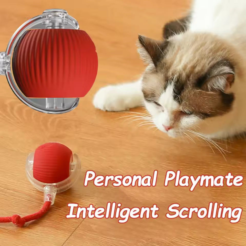 Automatic Moving Cat Toy Ball Smart Cat Toys USB Rechargeable Smart Cat Toys Ball Speedy Tail Cat Toy Cat Interactive Ball Toys